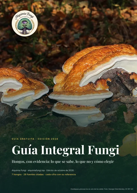 Portada de la Guía Integral Fungi
